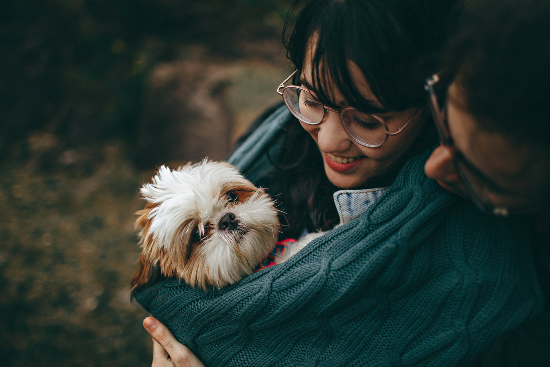 couple holding dog like a baby