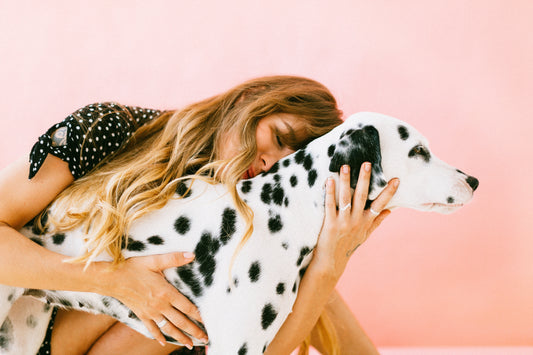 woman holding dalmation dog