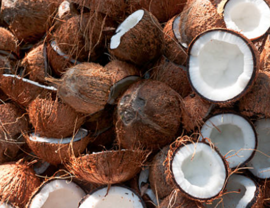 Black woman holding coconut fruit